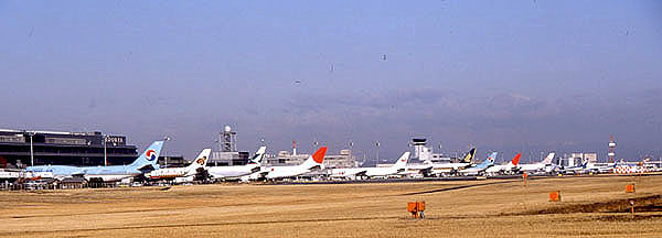 600sNZŕۑBAAlIgpɌ܂B