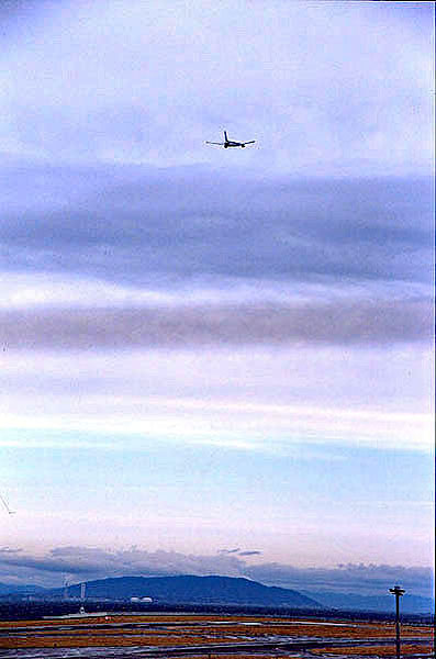 600sNZŕۑBAAlIgpɌ܂B