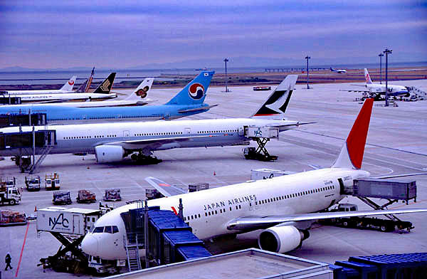 600sNZŕۑBAAlIgpɌ܂B