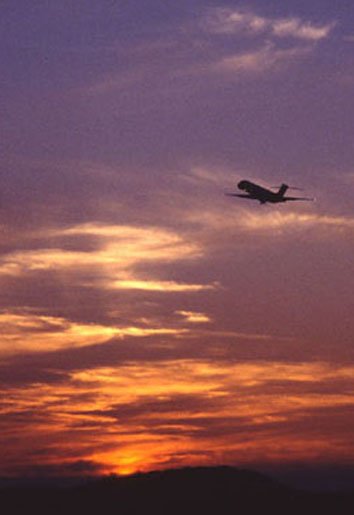 600sNZŕۑBAAlIgpɌ܂B