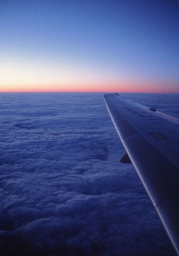 515sNZŕۑBAAlIgpɌ܂B